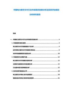 中國電力數(shù)字鄉(xiāng)村行業(yè)市場現(xiàn)狀發(fā)展分析及投資評估規(guī)劃分析研究報告
