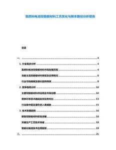 氫燃料電池雙極板材料工藝優化與降本路徑分析報告