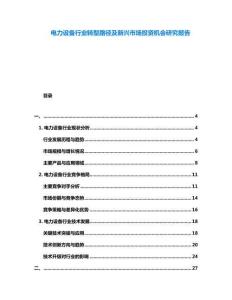 電力設(shè)備行業(yè)轉(zhuǎn)型路徑及新興市場投資機會研究報告
