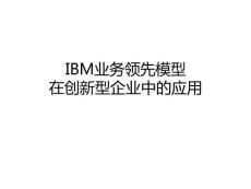 面向未來(lái)的組織與人力資源管理-IBM的業(yè)務(wù)領(lǐng)先模型（BLM）在中小企業(yè)中的應(yīng)用