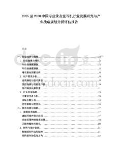 2025至2030中國專業(yè)錄音室耳機行業(yè)發(fā)展研究與產(chǎn)業(yè)戰(zhàn)略規(guī)劃分析評估報告