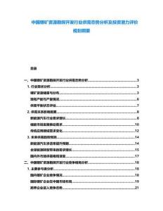 中國鋰礦資源勘探開發(fā)行業(yè)供需態(tài)勢分析及投資潛力評價規(guī)劃綱要