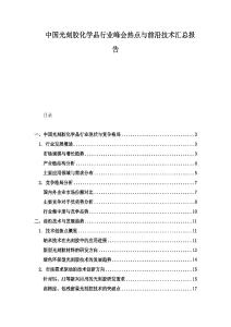 中國光刻膠化學品行業(yè)峰會熱點與前沿技術(shù)匯總報告