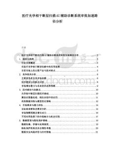醫(yī)療光學(xué)相干斷層掃描AI輔助診斷系統(tǒng)審批加速路徑分析