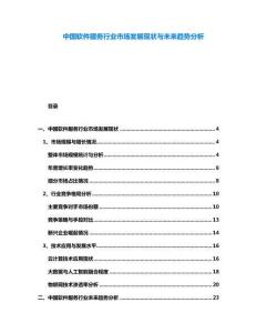 中國軟件服務(wù)行業(yè)市場發(fā)展現(xiàn)狀與未來趨勢分析