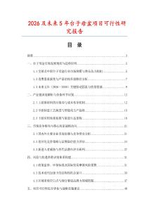 2026及未来5年台子母盆项目可行性研究报告