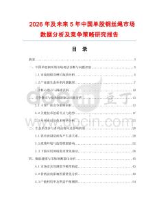 2026年及未來5年中國單股鋼絲繩市場數(shù)據(jù)分析及競爭策略研究報告