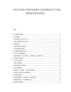 2025至2030中國手持高溫計行業發展研究與產業戰略規劃分析評估報告