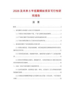 2026及未來5年低氧銅絲項目可行性研究報告