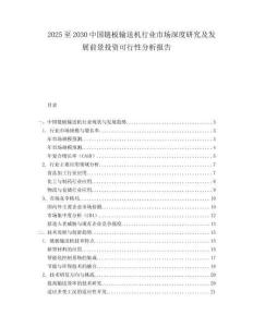 2025至2030中國(guó)鏈板輸送機(jī)行業(yè)市場(chǎng)深度研究及發(fā)展前景投資可行性分析報(bào)告