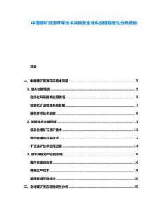 中國鋰礦資源開采技術(shù)突破及全球供應(yīng)鏈穩(wěn)定性分析報告