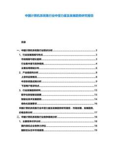 中國計算機系統集行業中堅力量及發展趨勢研究報告