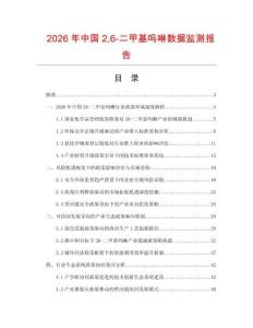 2026年中國26-二甲基嗎啉數(shù)據(jù)監(jiān)測報告