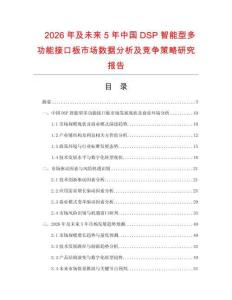 2026年及未來(lái)5年中國(guó)DSP智能型多功能接口板市場(chǎng)數(shù)據(jù)分析及競(jìng)爭(zhēng)策略研究報(bào)告
