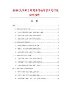 2026及未來5年簡易牙鉆車項目可行性研究報告