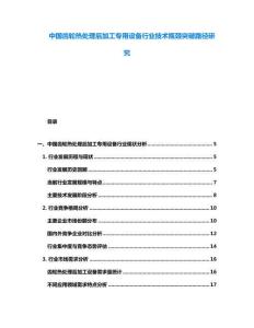 中國齒輪熱處理后加工專用設(shè)備行業(yè)技術(shù)瓶頸突破路徑研究