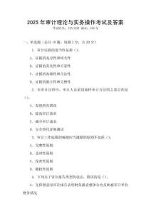 2025年審計(jì)理論與實(shí)務(wù)操作考試及答案