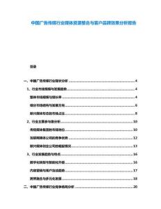 中國廣告?zhèn)髅叫袠I(yè)媒體資源整合與客戶品牌效果分析報告