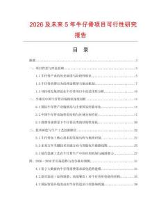 2026及未來5年牛仔骨項目可行性研究報告