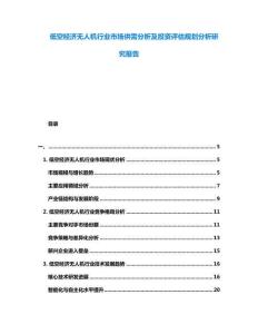 低空經濟無人機行業市場供需分析及投資評估規劃分析研究報告