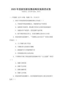 2025年國家創(chuàng)新發(fā)展戰(zhàn)略實(shí)施路徑試卷