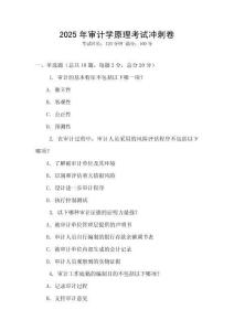 2025年審計(jì)學(xué)原理考試沖刺卷