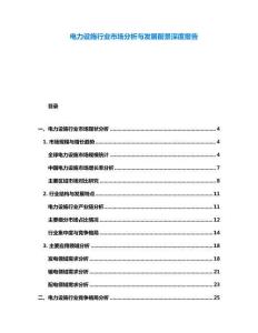 电力设施行业市场分析与发展前景深度报告