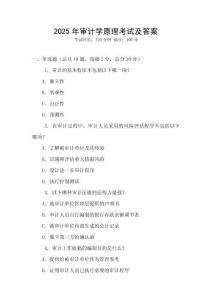 2025年審計(jì)學(xué)原理考試及答案