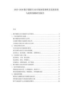 2025-2030數(shù)字?jǐn)z影行業(yè)市場(chǎng)深度調(diào)研及發(fā)展前景與趨勢(shì)預(yù)測(cè)研究報(bào)告