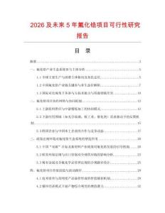 2026及未來(lái)5年氟化鋯項(xiàng)目可行性研究報(bào)告