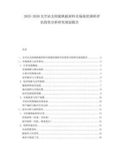 2025-2030太空站太陽能帆板材料市場現(xiàn)狀調(diào)研評估投資分析研究規(guī)劃報告
