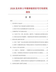 2026及未來5年粗鋅錠項目可行性研究報告