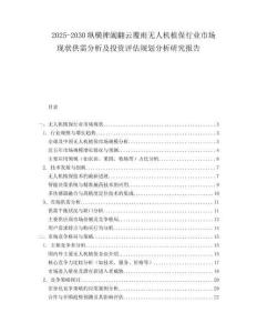 2025-2030縱橫捭闔翻云覆雨無人機(jī)植保行業(yè)市場(chǎng)現(xiàn)狀供需分析及投資評(píng)估規(guī)劃分析研究報(bào)告