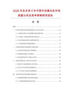 2026年及未来5年中国手扶磨光机市场数据分析及竞争策略研究报告