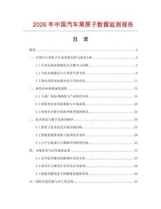 2026年中國(guó)汽車黑匣子數(shù)據(jù)監(jiān)測(cè)報(bào)告