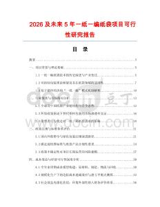 2026及未來5年一紙一編紙袋項目可行性研究報告