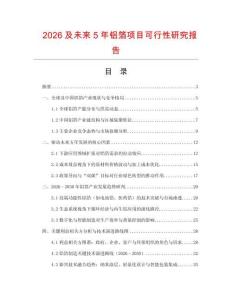 2026及未來5年鋁箔項目可行性研究報告