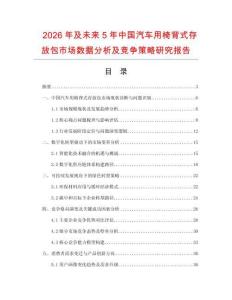 2026年及未來5年中國汽車用椅背式存放包市場數(shù)據(jù)分析及競爭策略研究報告