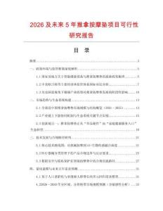 2026及未來5年推拿按摩墊項(xiàng)目可行性研究報(bào)告