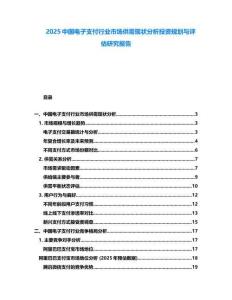 2025中國(guó)電子支付行業(yè)市場(chǎng)供需現(xiàn)狀分析投資規(guī)劃與評(píng)估研究報(bào)告