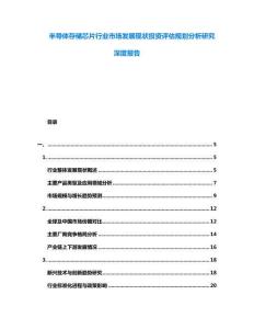 半導體存儲芯片行業(yè)市場發(fā)展現狀投資評估規(guī)劃分析研究深度報告