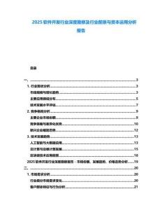 2025軟件開發(fā)行業(yè)深度勘察及行業(yè)前景與資本運用分析報告