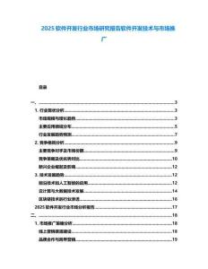 2025軟件開發(fā)行業(yè)市場研究報告軟件開發(fā)技術(shù)與市場推廣