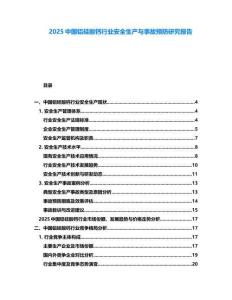 2025中國鋁硅酸鈣行業(yè)安全生產(chǎn)與事故預防研究報告