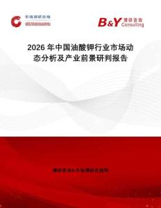 2026年中國油酸鉀行業(yè)市場動(dòng)態(tài)分析及產(chǎn)業(yè)前景研判報(bào)告