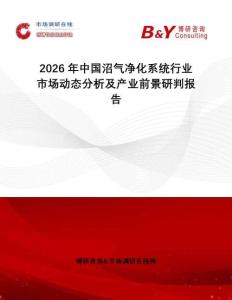 2026年中國沼氣凈化系統(tǒng)行業(yè)市場動(dòng)態(tài)分析及產(chǎn)業(yè)前景研判報(bào)告