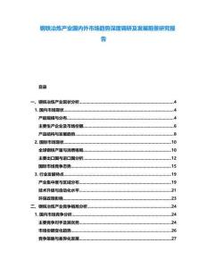 鋼鐵冶煉產(chǎn)業(yè)國(guó)內(nèi)外市場(chǎng)趨勢(shì)深度調(diào)研及發(fā)展前景研究報(bào)告
