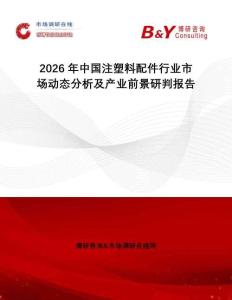 2026年中國注塑料配件行業(yè)市場動(dòng)態(tài)分析及產(chǎn)業(yè)前景研判報(bào)告