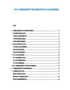 2025中國鋁硅酸鈣產(chǎn)業(yè)市場(chǎng)集中度與中小企業(yè)發(fā)展報(bào)告