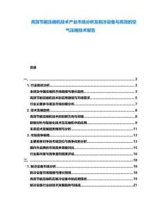 高效節(jié)能壓縮機技術(shù)產(chǎn)業(yè)市場分析及制冷設(shè)備與高效的空氣壓縮技術(shù)報告